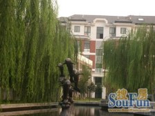 顶楼复式买一层得两层 满五年不唯一 随时可看