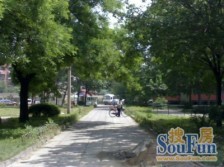 八角北里中间楼层东南朝向正规客厅