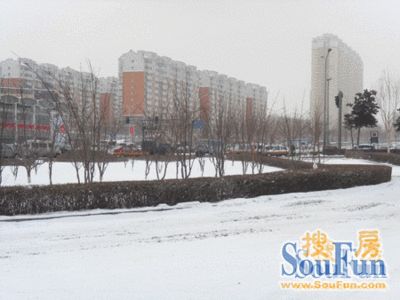 东岭南街火电小区2室1厅1卫南北朝向1300.00元/月出租