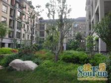 临河观景,出国急售 毛坯4房可跟自己心意装修产权清晰