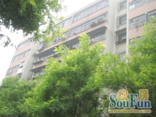 技师学院南家属院 楼层好诚心出售