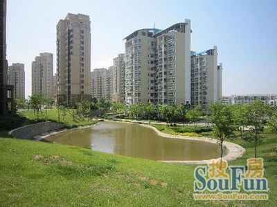 整租·天泰城迦南美地 1室3厅 南