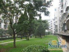 金顶街四区2室1厅北南