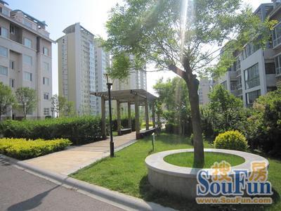 天泰城3室2厅1卫南朝向1850.00元/月出租