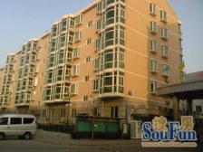 顶层复式五室两厅三卫好停车不临街