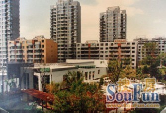 新湖明珠城3室1厅1卫南北朝向3500.00元/月出租