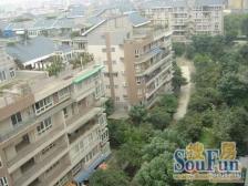 金房小区 两室一厅有钥匙 看房子随时