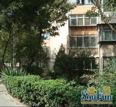 县前街单位宿舍2室1厅1卫南朝向2700.00元/月出租