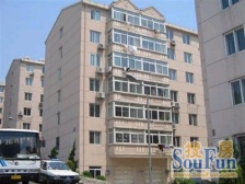 星海广场 老小区 低楼层 位置好