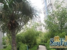 光线好,停车方便 2007年的电梯房,可贷款