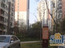 满五年!精装修!30万装修!采光好!双气!