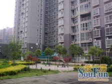 观洲国际 1室1厅 南