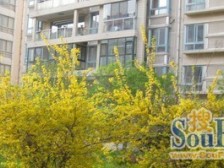 多层板楼户型结构方正布局合理功能区划分明显精装修