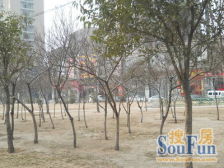 满五年,多层复式采光好,带露台,公摊小