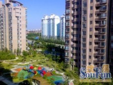 数码公寓 标准一室一厅 全明 采光好 全款房诚心出售