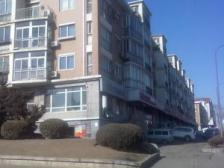 鼎山家园(华北路) 2室1厅 东 西