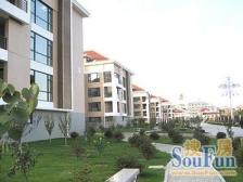 金海岸四层洋房精装修顶加阁客厅挑空一梯一户