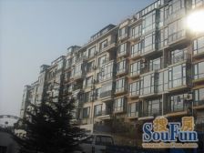 无坡 近桃源市场 清水 电梯洋房 封闭小区