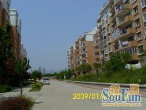 长城花园B组团,拎包入住,采光好,无遮挡,诚心卖。