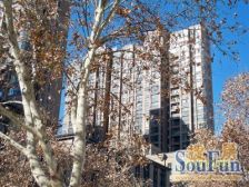 康桥金域上郡1号院 2室1厅 南