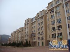 龙山花园 2室1厅 南 北