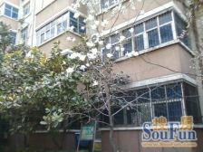 北仓中里5号院 3室2厅 东南