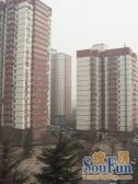 晨光入室,一屋两人三餐四季:利泽西园正规一居