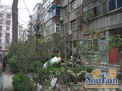 建华街小区3室2厅1卫南朝向1200.00元/月出租