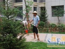 建业开发电梯洋房 精装大三房 可上管外