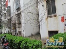 鑫源花园3室2厅南北