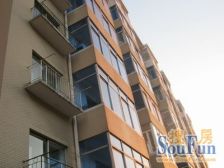 阿尔滨,电梯洋房,三室两厅,一梯两户南北通透,急售