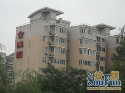 金雅园