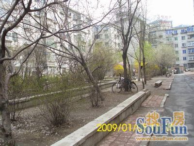 旭升社区3室1厅1卫南北朝向2200.00元/月出租