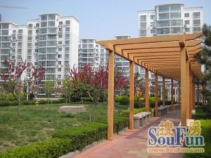 亿路发阳光景园 2室1厅 南