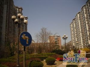 雍添金园3室2厅南北