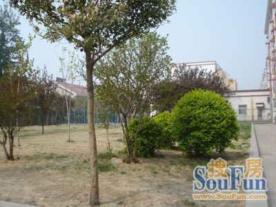 富华新村3室1厅1卫南北朝向750.00元/月出租