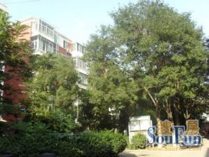 大柳树5号院2室1厅南