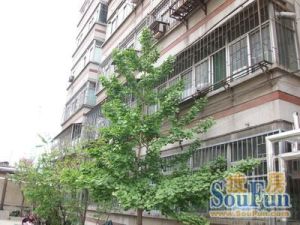 生产路3号供电局宿舍3室1厅南