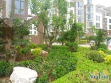 西海岸路100号 3室2厅 东