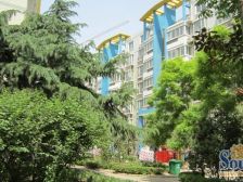 金色港湾 自住大四房 南北通透 户型方正 诚意出售