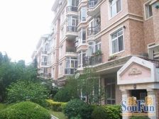 澳景园一楼带下跃75平 院50平和46平车库采光好