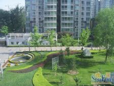 面宽五米,主朝南无遮挡视野好采光好