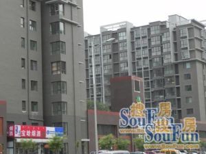 御景苑三区2室1厅南