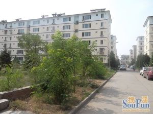 长城住宅小区 2室2厅 南 北