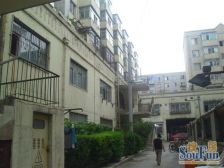 宜春社区2室1厅东西