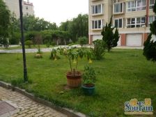 蔚蓝海岸 183平大四室 多层看海 只卖精品