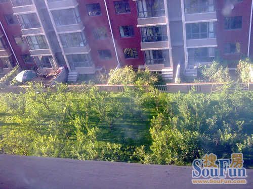 Õû×⡤Î÷ºþÙ³¾° 2ÊÒ1Ìü ÄÏ/±±