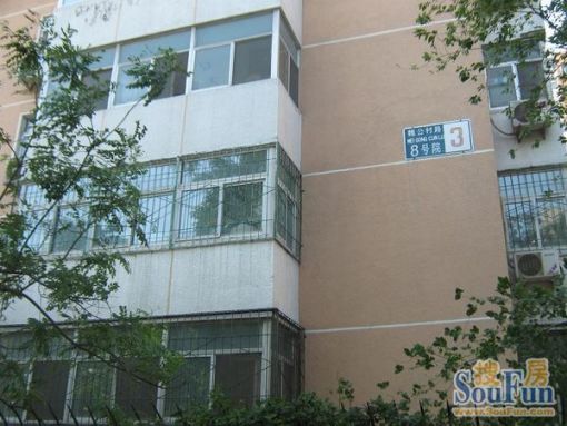 魏公村8号院2室1厅1卫东南朝向8500.00元/月出租