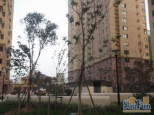 科莫湖畔电梯洋房带大露台和阳光房