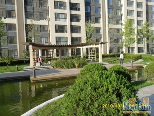 北京新天地1室1厅1卫东北朝向4900.00元/月出租